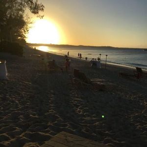 Meet your Posher, Maggie